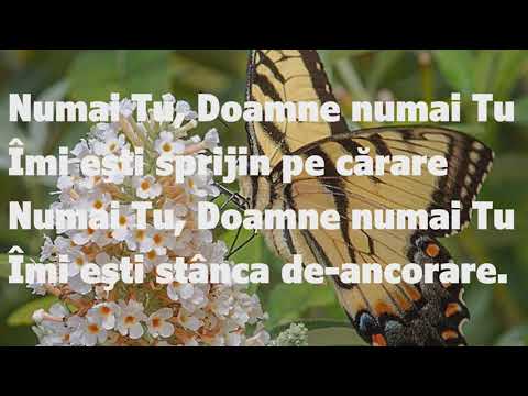 Doamne, când eşti lângă mine -  SSHorj