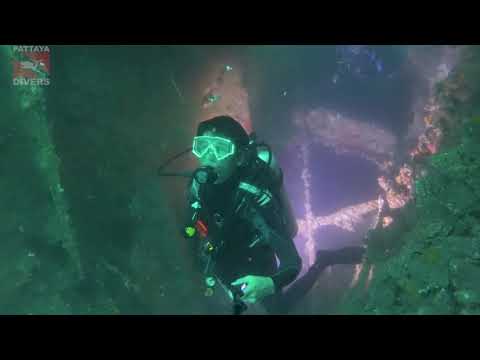 Blue Dragon Nudibranch on 'Hardeep Wreck' | Diving Pattaya, Thailand