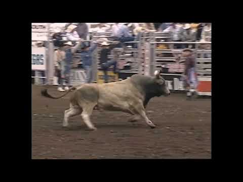 Mossy Oak Shootout: Michael Gaffney vs Mouse Trap