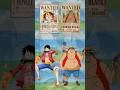 Real And Fake Straw Hat Pirates In One Piece Onepiece Shorts