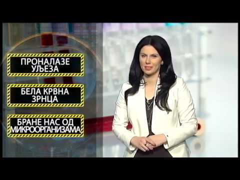 Tako stoje stvari - Nazdravlje - Leukociti - 19.01.2018.