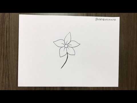 How to draw Jasmine flower easy step by step | A to Z of drawing