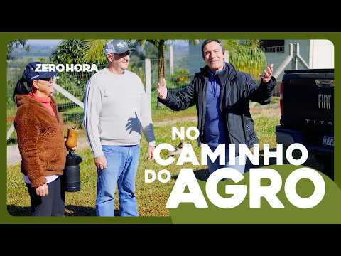 Muito além do chimarrão: a força da erva-mate gaúcha | No Caminho do Agro #005
