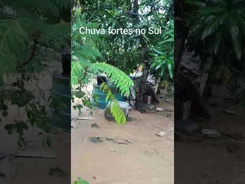 chuva forte portelinha Camacan no sul da Bahia