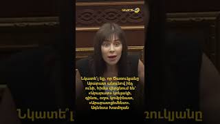 Նկատե՞լ եք, որ Ծառուկյանը Արարատ անունով ինչ ունի, հիմա վերցնում են. Ագնեսա Խամոյան