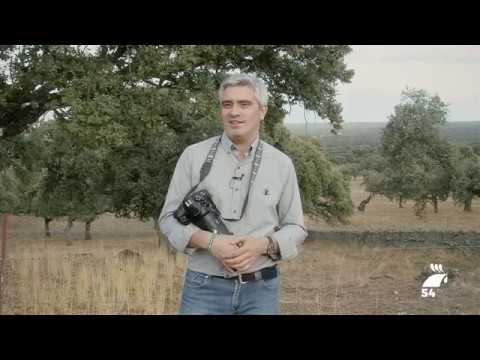 Piezas: Pedro Sánchez y Rafa Sánchez