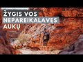 Mūsų Australija Kings Kanjonas Ir žudantis Karštis Kelionių Vlogas 20