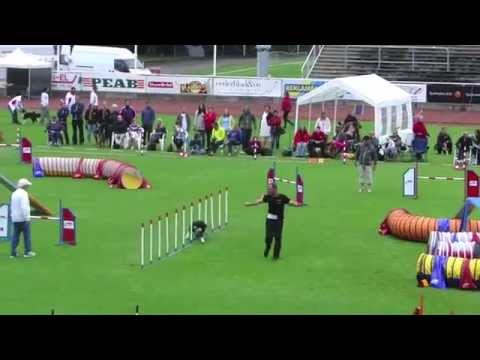 Agility European Open 2012 Mannschaftsfinale