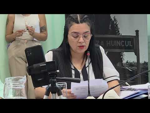 La Voz TV: sesión Concejo Deliberante de Plaza Huincul