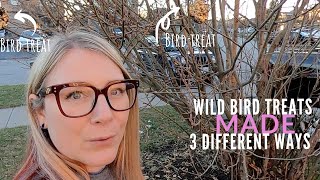 Wild bird treats (made 3 different ways)
