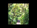 Señor Loop - El Mono Y La Culebra