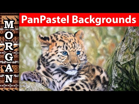PanPastel Blurred Bokeh Background Jason Morgan wildlife art