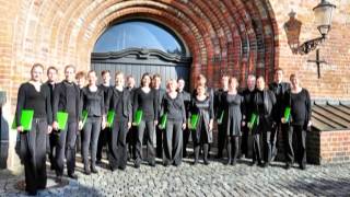 Paul Hindemith: aus "Six Chansons"- no.3 Puisque tout passe // Phemios Kammerchor