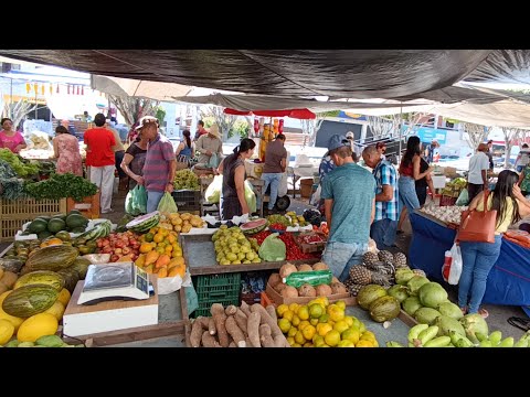 FEIRA DE CAETÉS PERNAMBUCO A MELHOR FEIRA POVO ANIMADO 