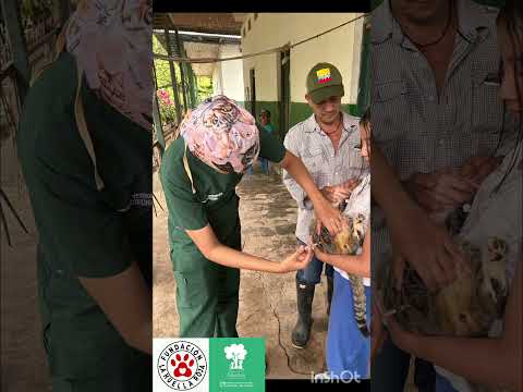 La Huella Roja en Suárez Tolima