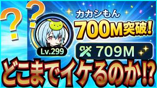 【杖と剣の伝説】実況 今シーズンの戦力が700Mを突破！ どこまでいけるか予想してみた！【杖剣】