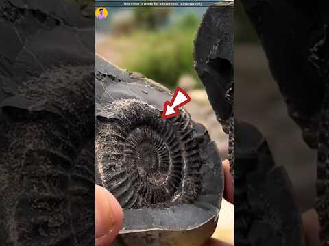 100 years old stone 🪨