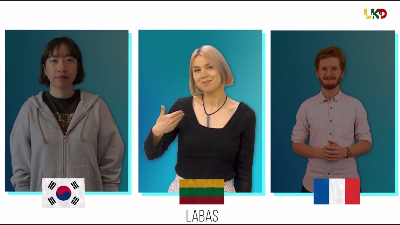 Gestų kalbų palyginimas