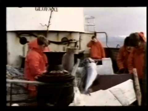 Nýtt líf sjómennskan er ekkert grín