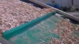 Agricultural conveyor for sale - Image 6 | Machineryline GB New agricultural conveyor | Image 6 - Machineryline