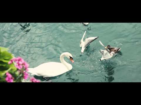 download lagu mp3 mp4 Aditya Sengupta Father, download lagu Aditya Sengupta Father gratis, unduh video klip Aditya Sengupta Father