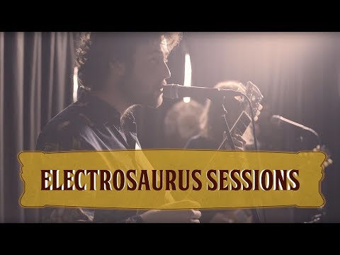 DeWolff - Electrosaurus Session #1 - Jam #3 (Live at DeWolffest)