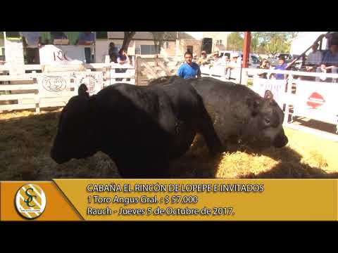 05-10-17 Venta de Toros Angus P.P. y Generales - Cabaña El Rincón e Invitados - Rauch.
