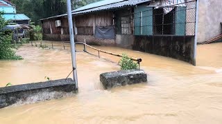 Storm No. 10 Bualoi: Ant Eggs, Historic Heavy Rain Scene, Many Provinces and Cities Isolated.