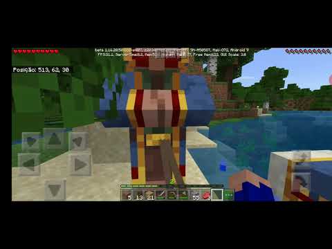 QUASE PERDI UM GRANDE AMIGO!!! (IRMÃOS-CRAFT 2.0) #2