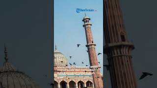 Hukum Bagi Orang yang Lupa Mandi Besar karena Tertidur dan Baru Bangun setelah Subuh?