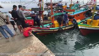 Download lagu Fresh Berburu Ikan Laut Ke TPI Lempasing Kamis 03 ... mp3