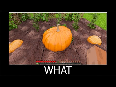 Minecraft wait what meme part 400 realistic minecraft Pumpkin