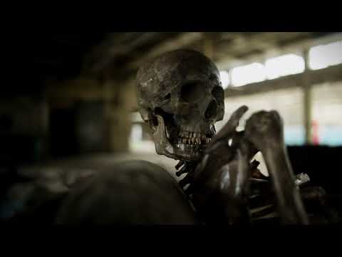 Sir T From Denmark - Humans