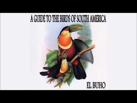 El Búho • "A Guide to the Birds of South America" EP (Rhythm & Roots, 2012)