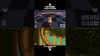 TOTORO! TAILS & ACORN — ENJOY WITH BGM | Sonic Mania + Sonic 3 AIR | #shorts #sonicshorts