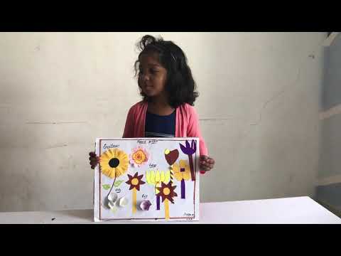 Science fair 2019 Pp1 sun-flower ,topic-flowers by Srinika@crayons school Nizampet