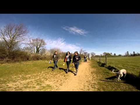 Vincent guerin dog walk Fake lake 12 april 2015