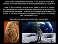 Understanding The Shadow
