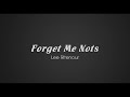 Lee Ritenour - Forget Me Nots