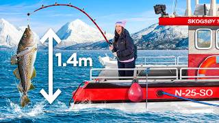 Download lagu I became a Norwegian Fisherman for a Day mp3