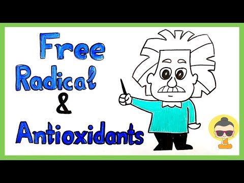 Casually Explained: Free Radical & Anti-oxidant