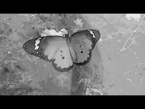 Rainer Willeke - You... (Official Music Video)