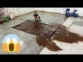 70 Year Old Persian Carpet That Hasn T Been Washed For More Than Half A Century