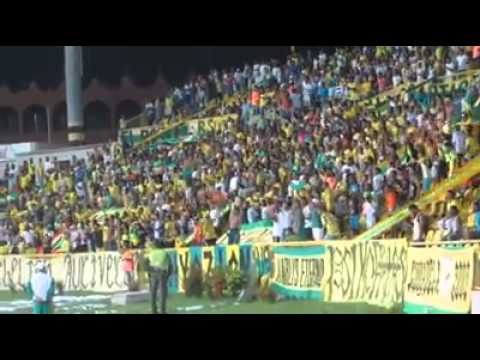 "Y vamos real no podemos perder" Barra: Rebelión Auriverde Norte &bull; Club: Real Cartagena