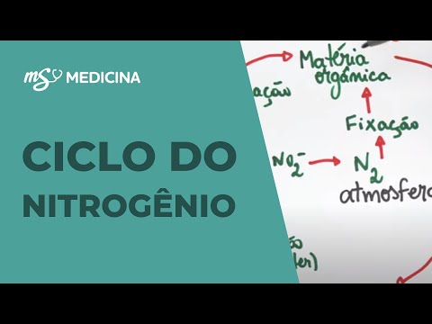 Ciclo do Nitrogênio | Biologia | Medicina | Me Salva! ENEM 2021