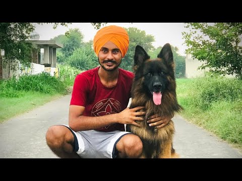 Rip manveer sarao 🙏🙏