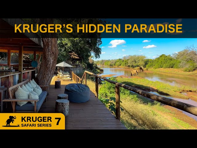 The Hidden Part of Kruger National Park Most Visitors Never See 🇿🇦 SDDEFAULT Thumbnail