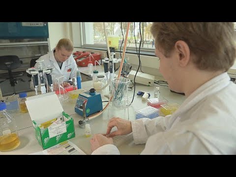 Élesztő: az új környezetbarát csodaszer?