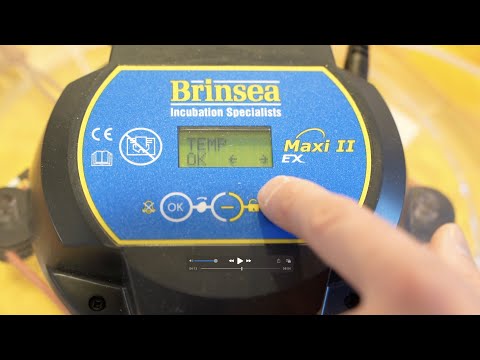 Important settings of the Brinsea Maxi and Mini 2 EX incubator - Temperature - Humidity -
