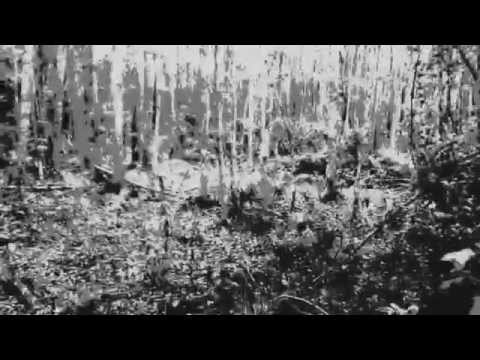 Mad World -  Pavel Hall